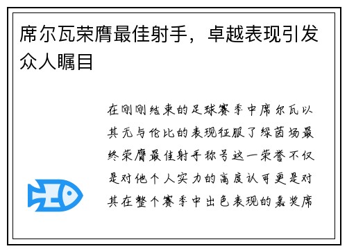 席尔瓦荣膺最佳射手，卓越表现引发众人瞩目